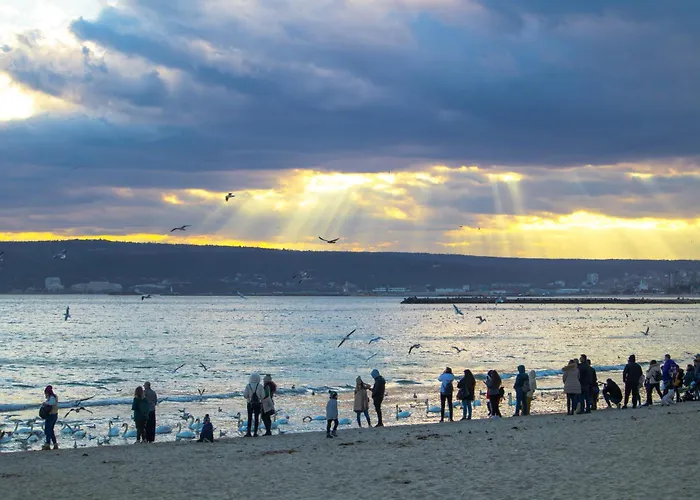 Sunny 2-bedroom With Sea View Varna